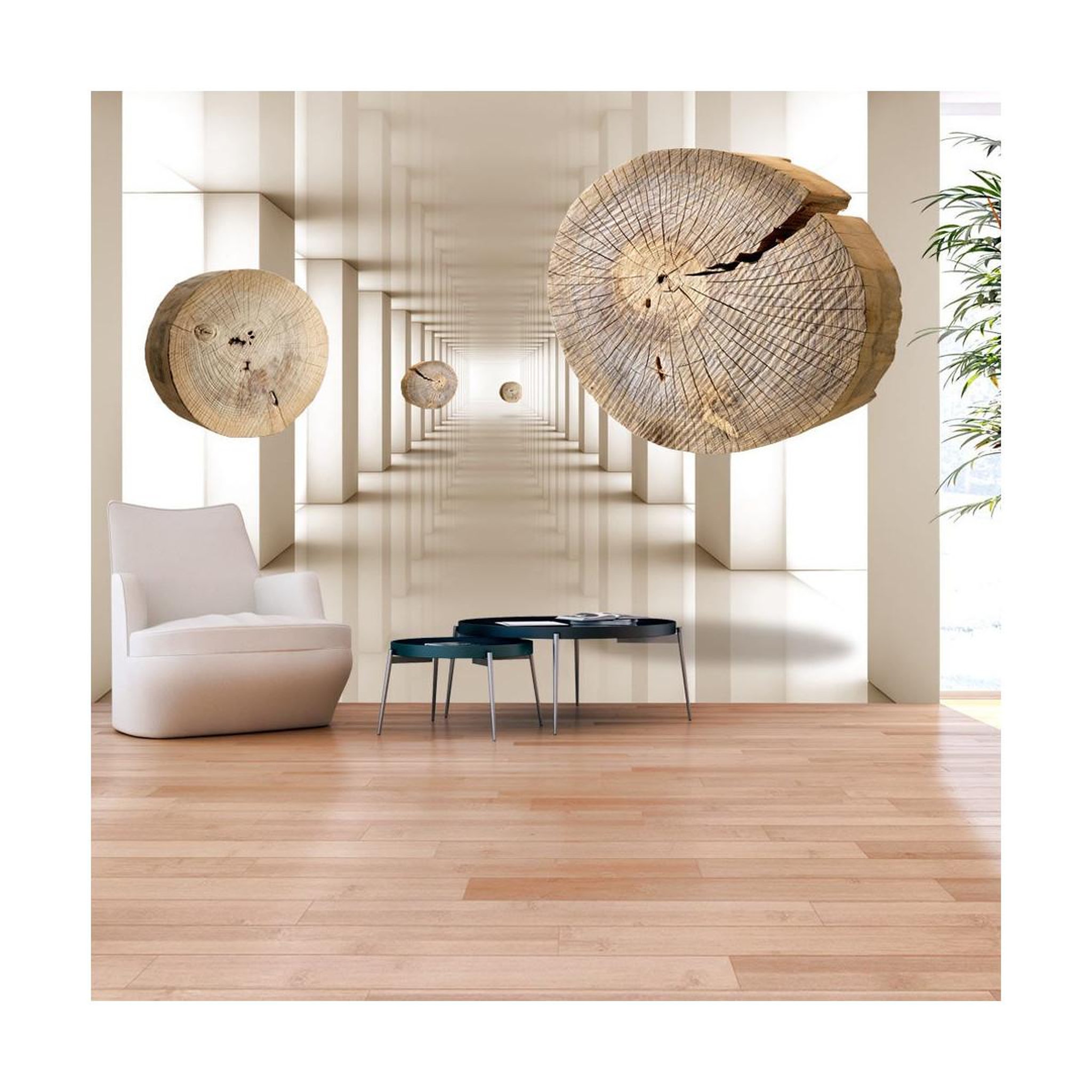 Voir la diapositive 1 : Paris Prix Papier peint  cercles de bois volants