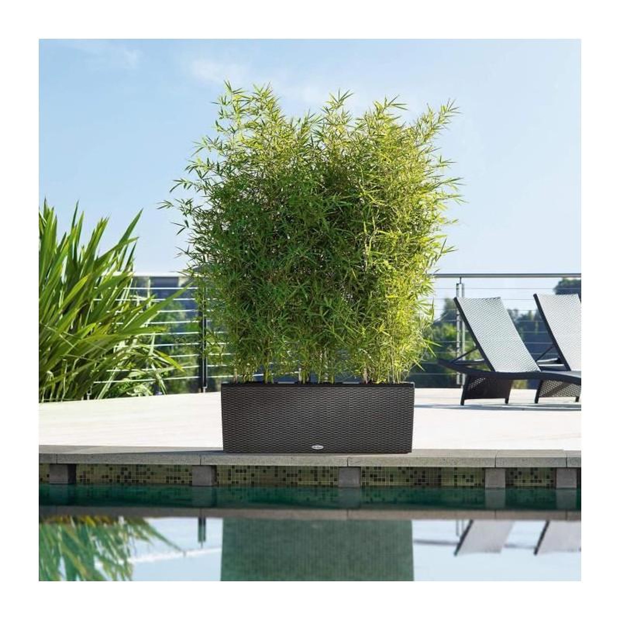 Voir la diapositive 3 : LECHUZA Pot Trio Cottage 30 - kit complet, granit - 100 cm