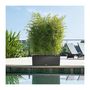 Voir la diapositive 3 : LECHUZA Pot Trio Cottage 30 - kit complet, granit - 100 cm