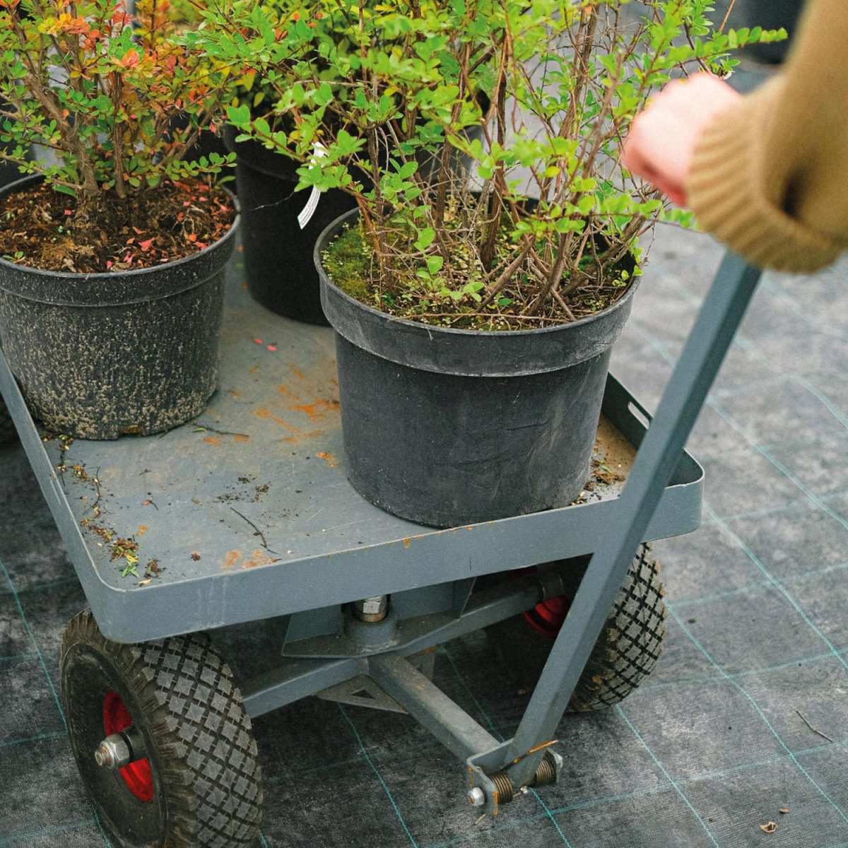 LINXOR Roue gonflable pour chariot 26 x 8.5  cm - Axe 25 mm