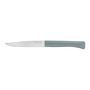 Voir la diapositive 3 : Opinel Couteau à steak Bon Appétit + Glam 4 couteaux de table