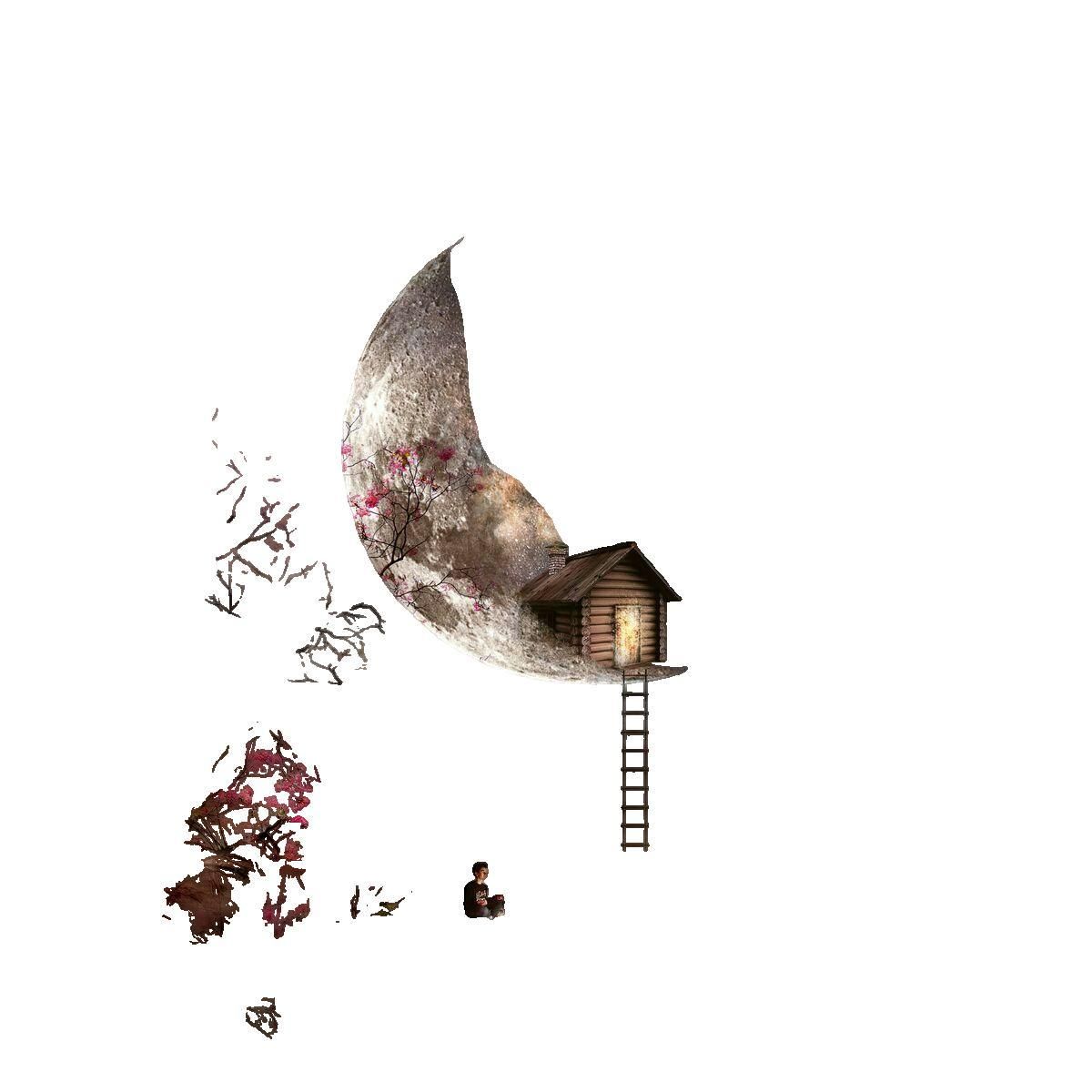 Schmidt Spiele Puzzle Schmidt Spiele 1000 pièces multicolore