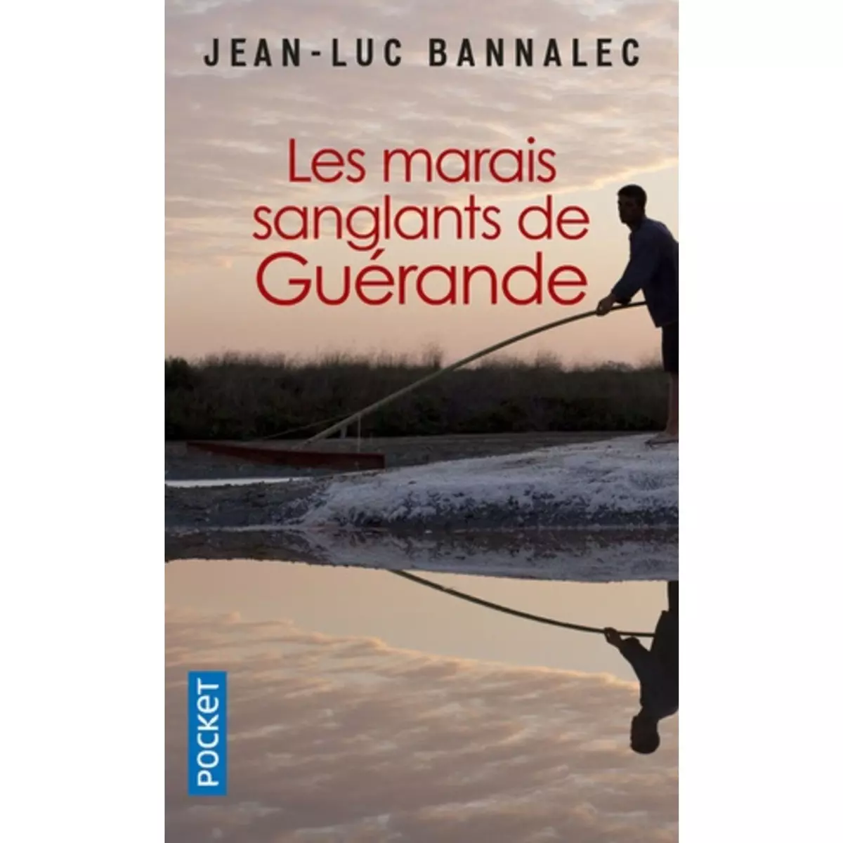  UNE ENQUETE DU COMMISSAIRE DUPIN : LES MARAIS SANGLANTS DE GUERANDE, Bannalec Jean-Luc
