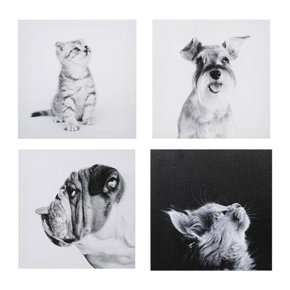 OSTARIA Ensemble de 4 tableaux sur toile imprimée 28x28 cm Funny