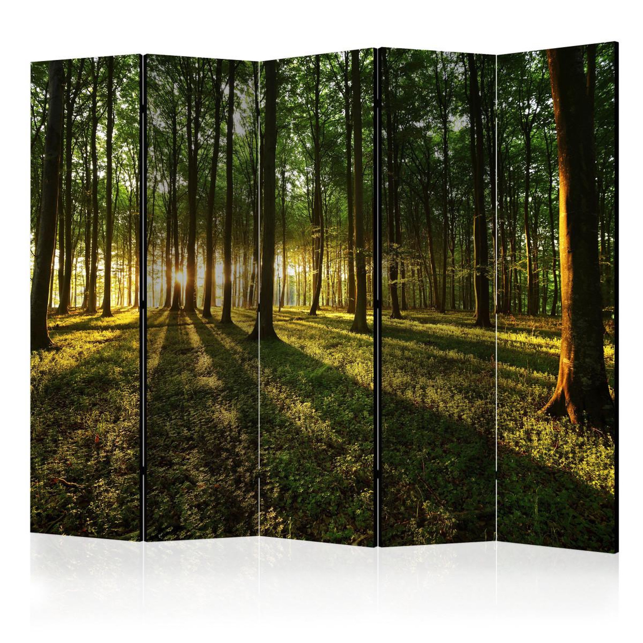 Paris Prix Paravent 5 volets  morning in the forest  172x225cm