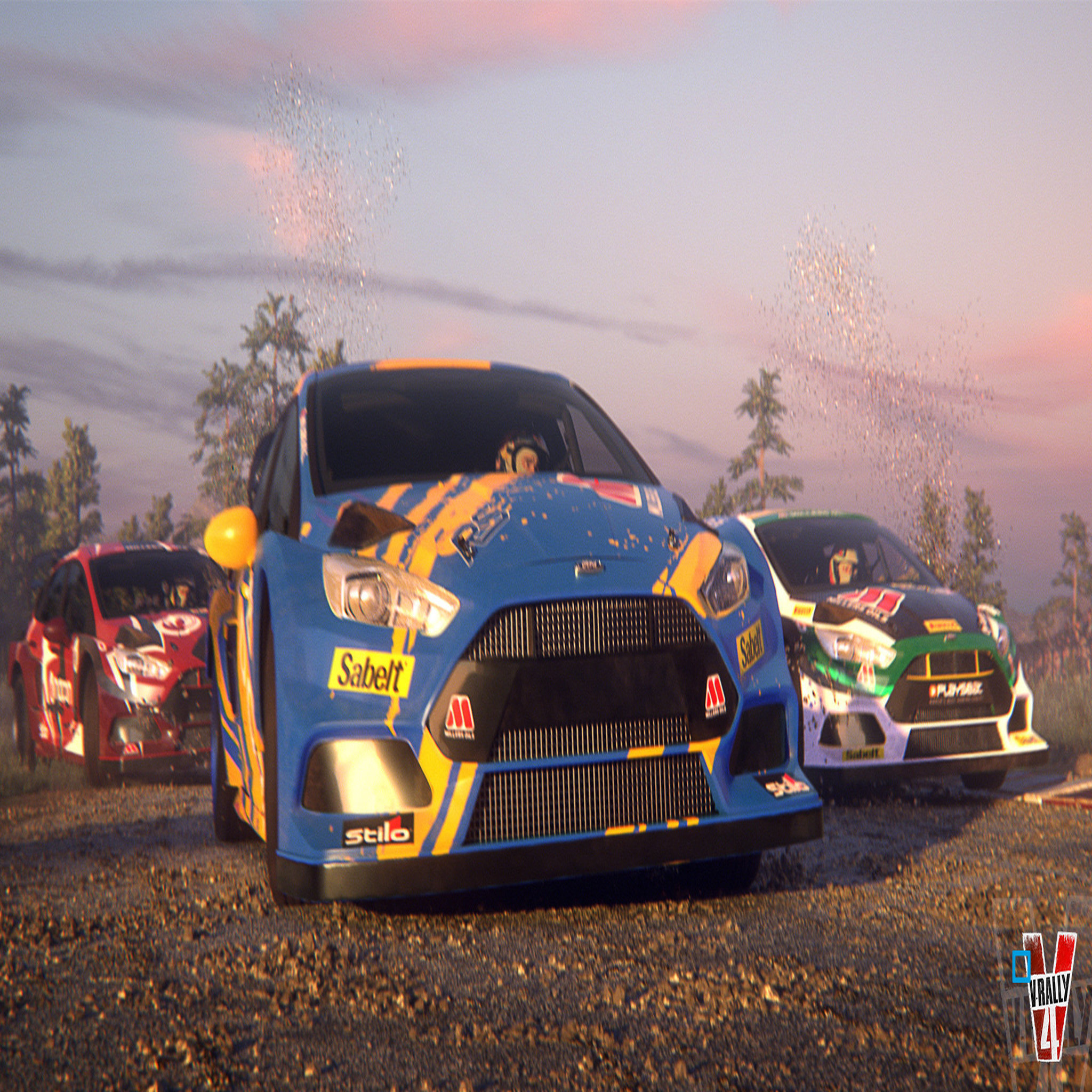 Voir la diapositive 4 : V-Rally 4 Nintendo Switch