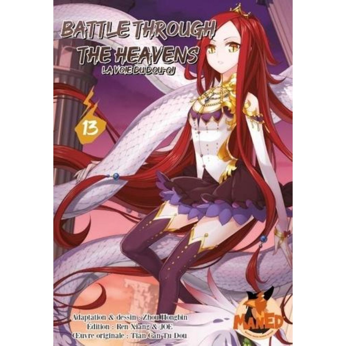 BATTLE THROUGH THE HEAVENS TOME 13 , Zhou Hongbin