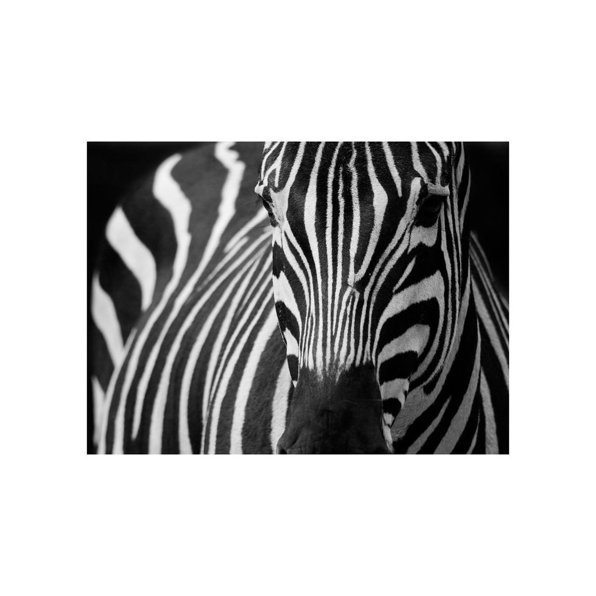 Voir la diapositive 2 : Paris Prix Papier peint  blanc à rayures noires