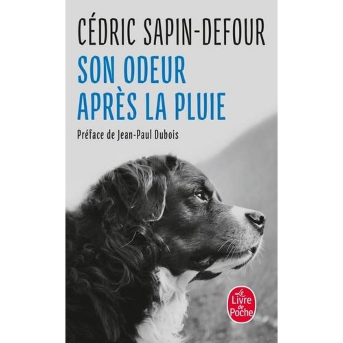 SON ODEUR APRES LA PLUIE, Sapin-Defour Cédric