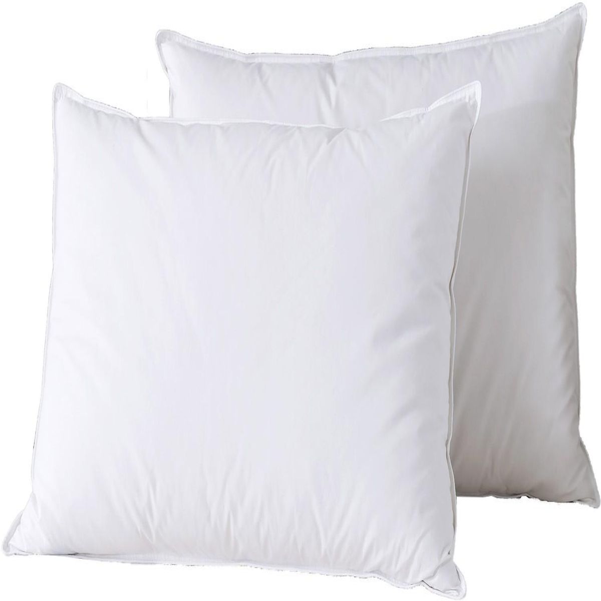 Home collection Lot de 2 oreillers en 100% coton et plume de canard blanc