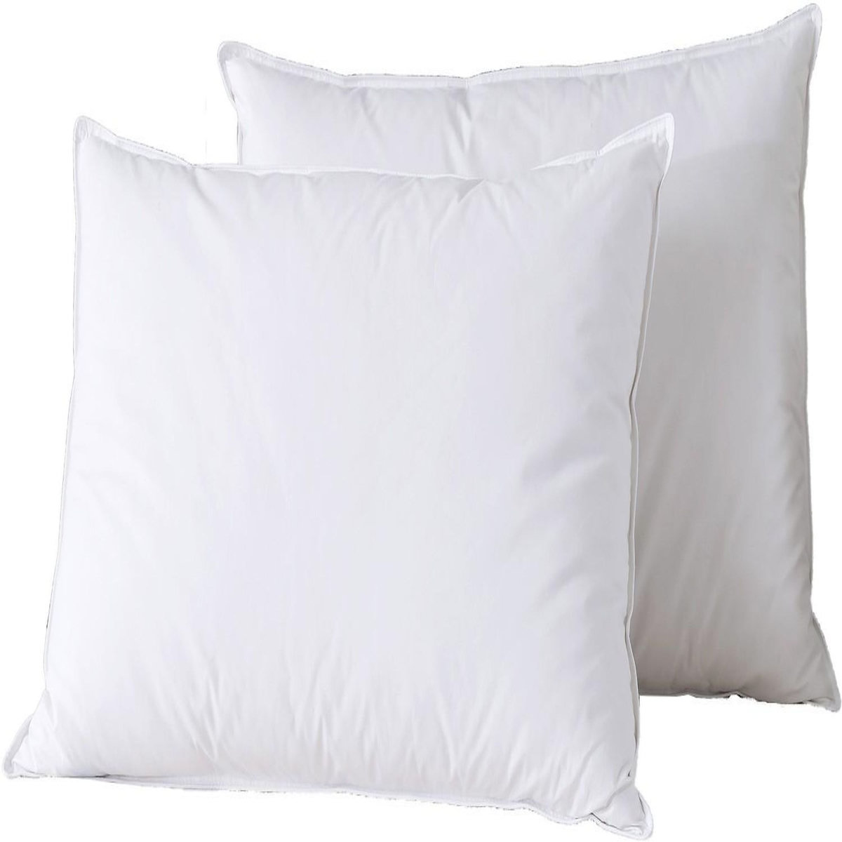 Home collection Lot de 2 oreillers en 100% coton et plume de canard blanc