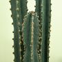 Voir la diapositive 6 : OUTSUNNY Cactus artificiel grand réalisme plante artificielle grande taille dim. Ø 18 x 120H cm vert