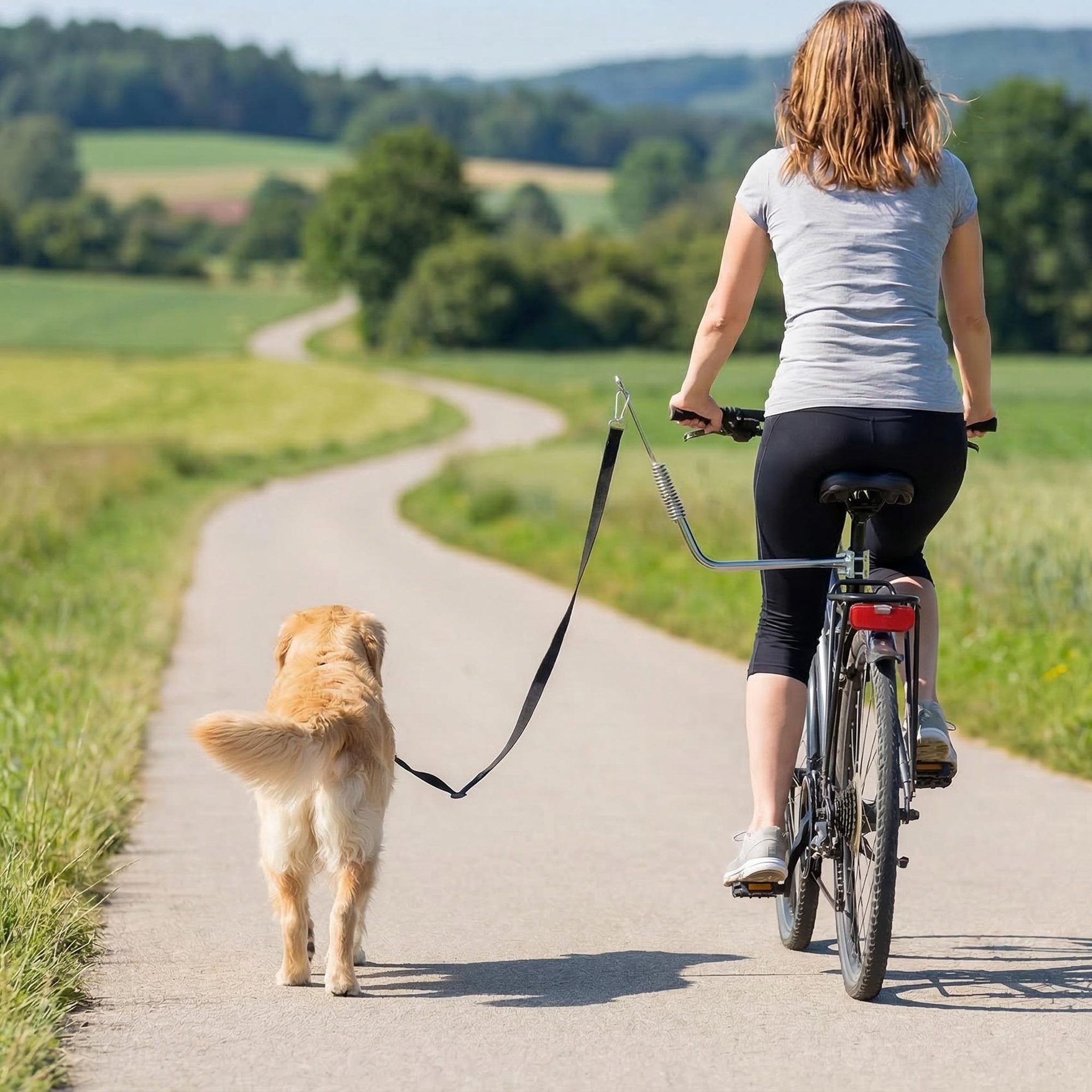 Voir la diapositive 6 : PAWHUT Laisse de vélo pour chien fixation facile rapide ressort amortisseur sangle ajustable