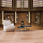 Paris Prix Papier Peint  Library of Dreams. Coloris disponibles : Multicolore