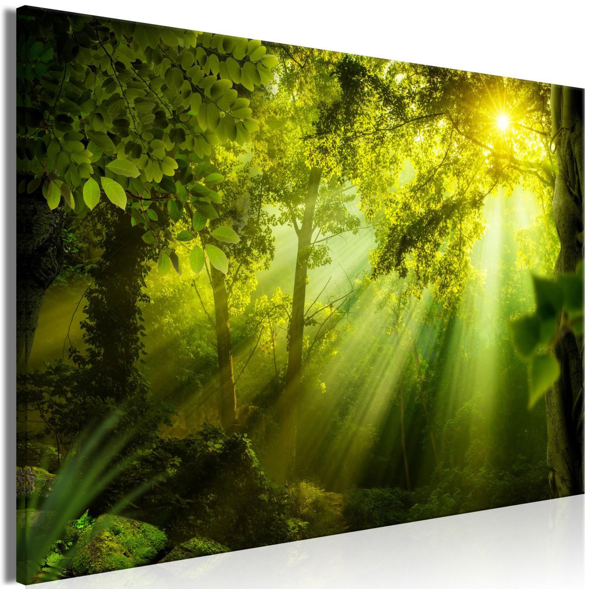 Paris Prix Tableau imprimé  in the sunshine wide. Coloris disponibles : Multicolore