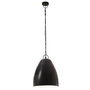 Voir la diapositive 3 : VIDAXL Lampe suspendue industrielle 25 W Noir Rond 32 cm E27