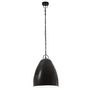 Voir la diapositive 3 : VIDAXL Lampe suspendue industrielle 25 W Noir Rond 32 cm E27