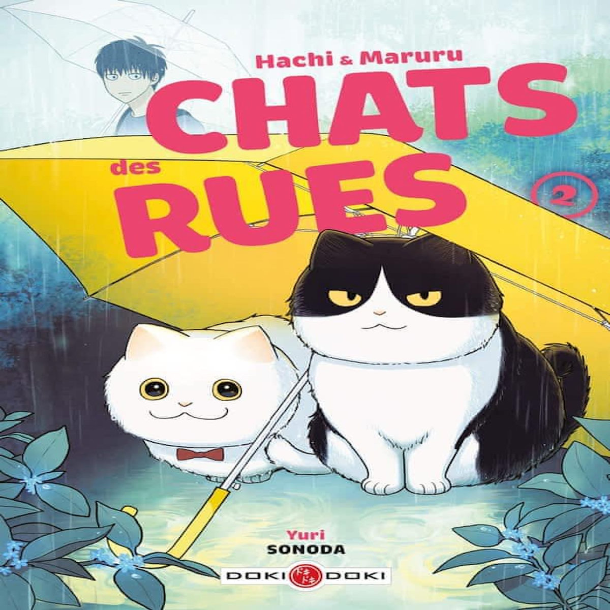 HACHI & MARURU, CHATS DES RUES TOME 2 : AVEC 1 PLANCHE DE STICKERS, Sonoda Yuri