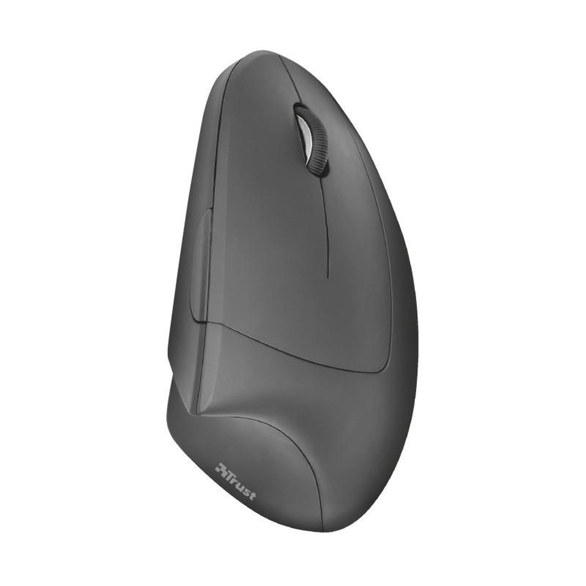Voir la diapositive 4 : Trust Souris TRUST 22879