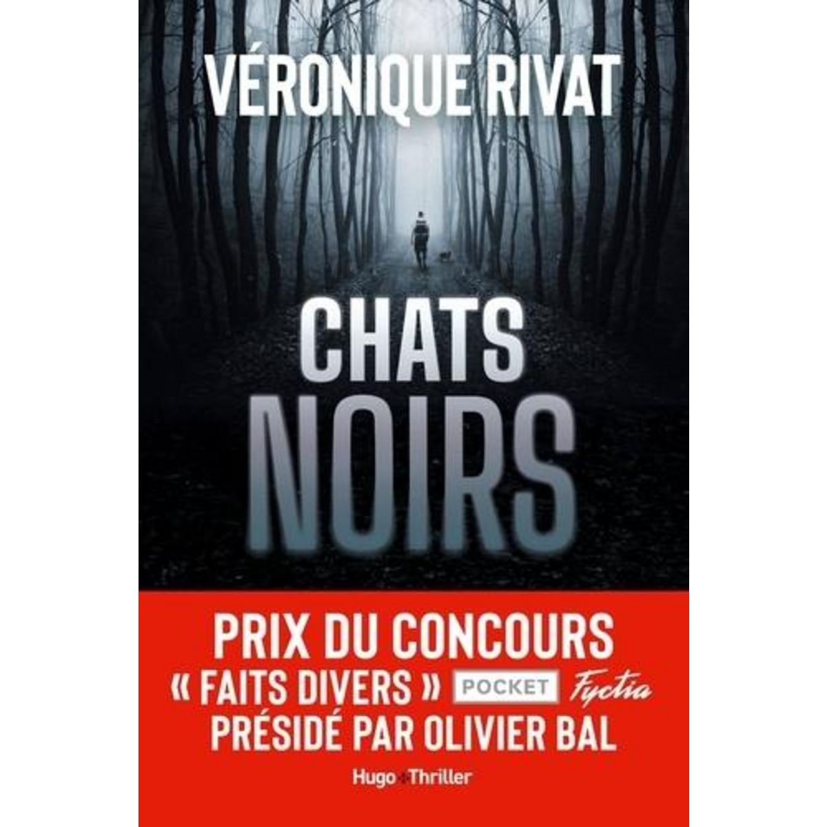 CHATS NOIRS, Rivat Véronique