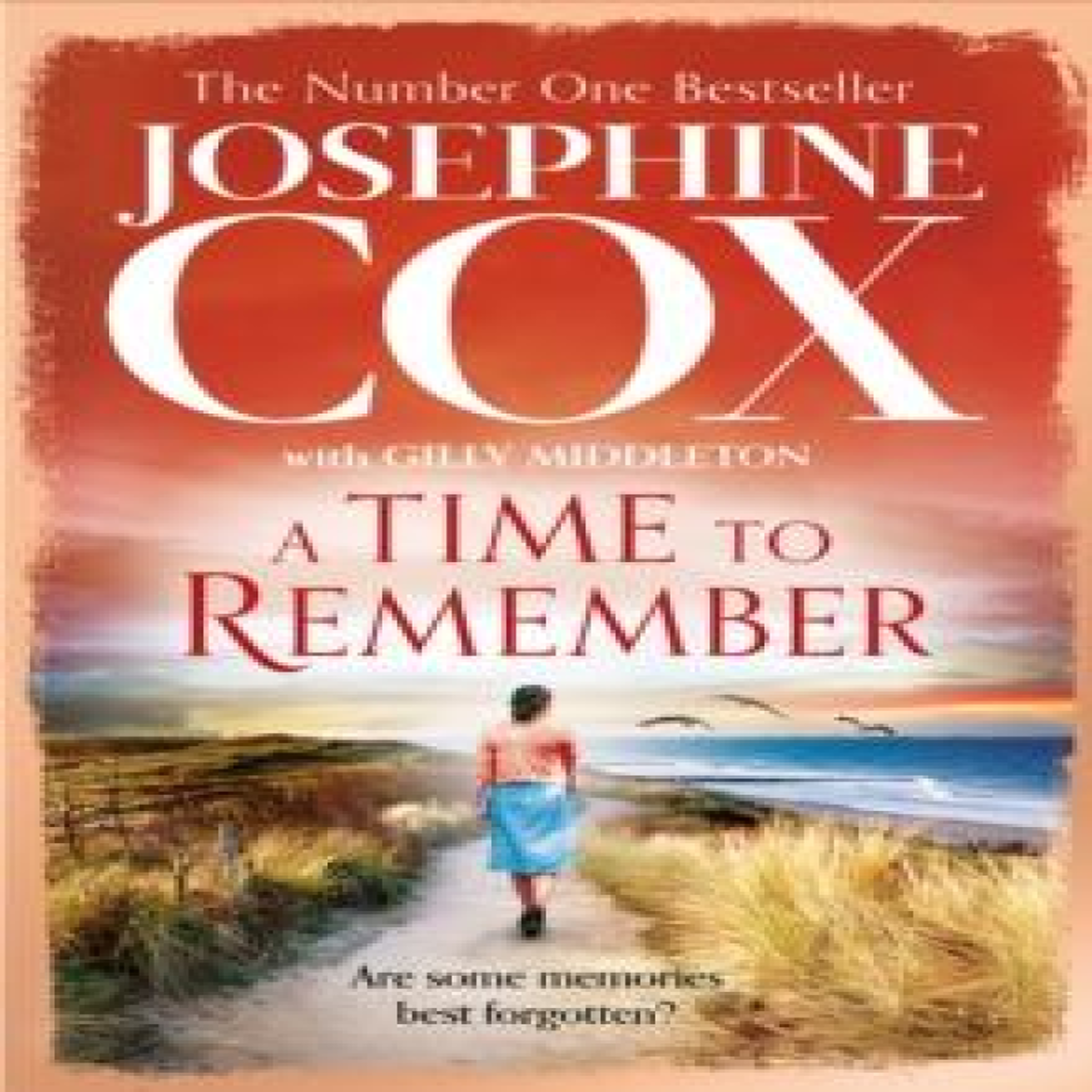 LIVRES Time to Remember - Josephine Cox