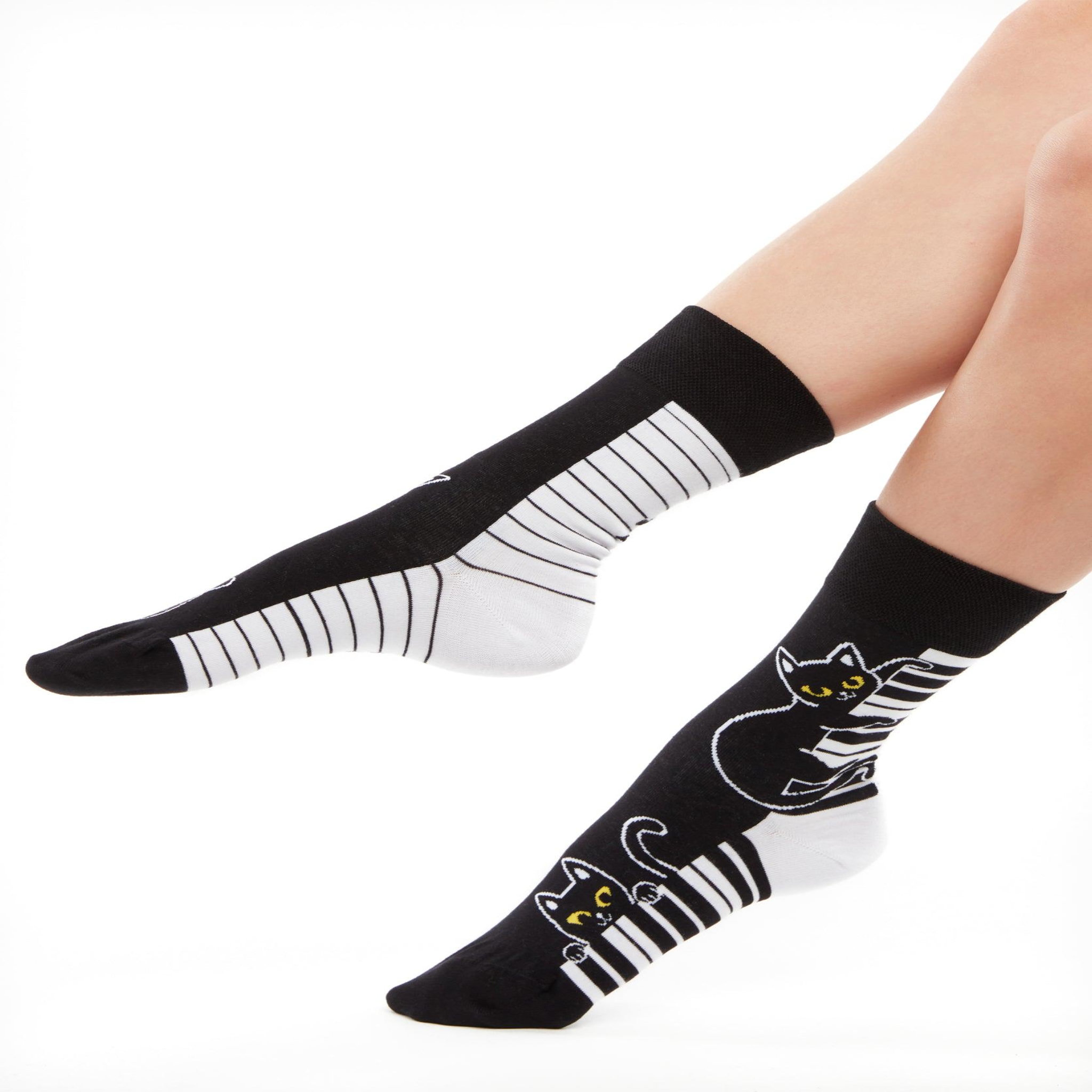 Voir la diapositive 2 : DEDOLES Chaussettes chat joue du piano