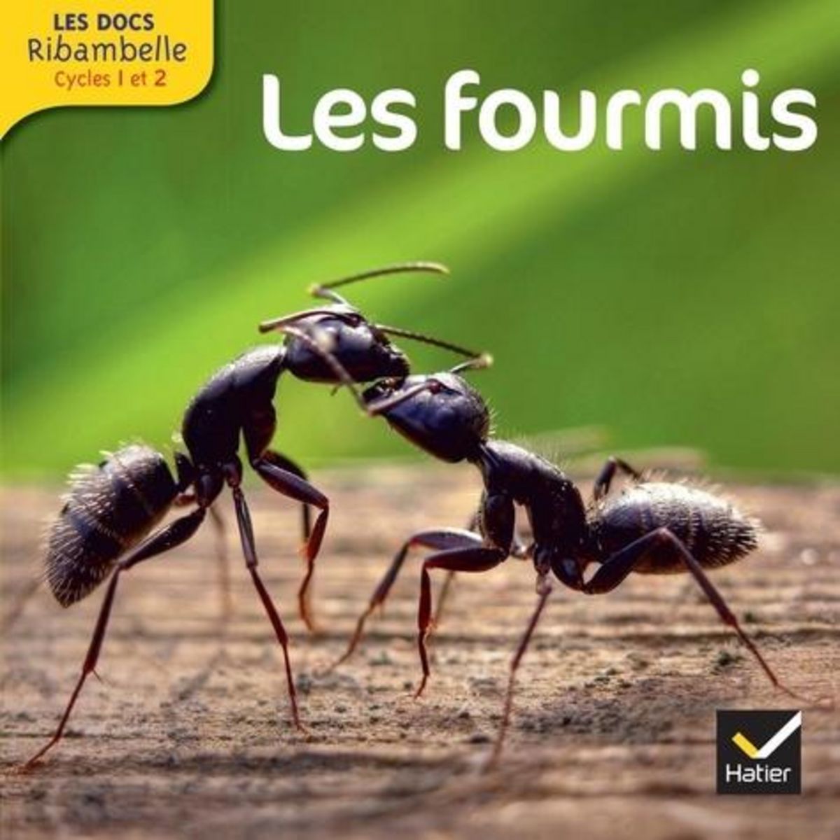 LES FOURMIS. GRANDE SECTION, CP, CE1 (CYCLE 2), EDITION 2013, Videau Valérie