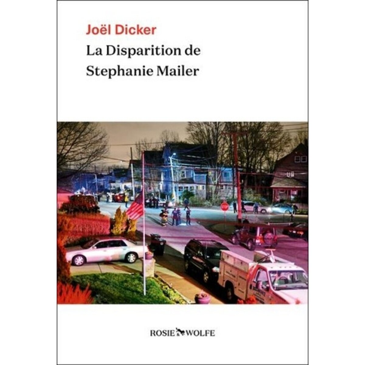  LA DISPARITION DE STEPHANIE MAILER, Dicker Joël