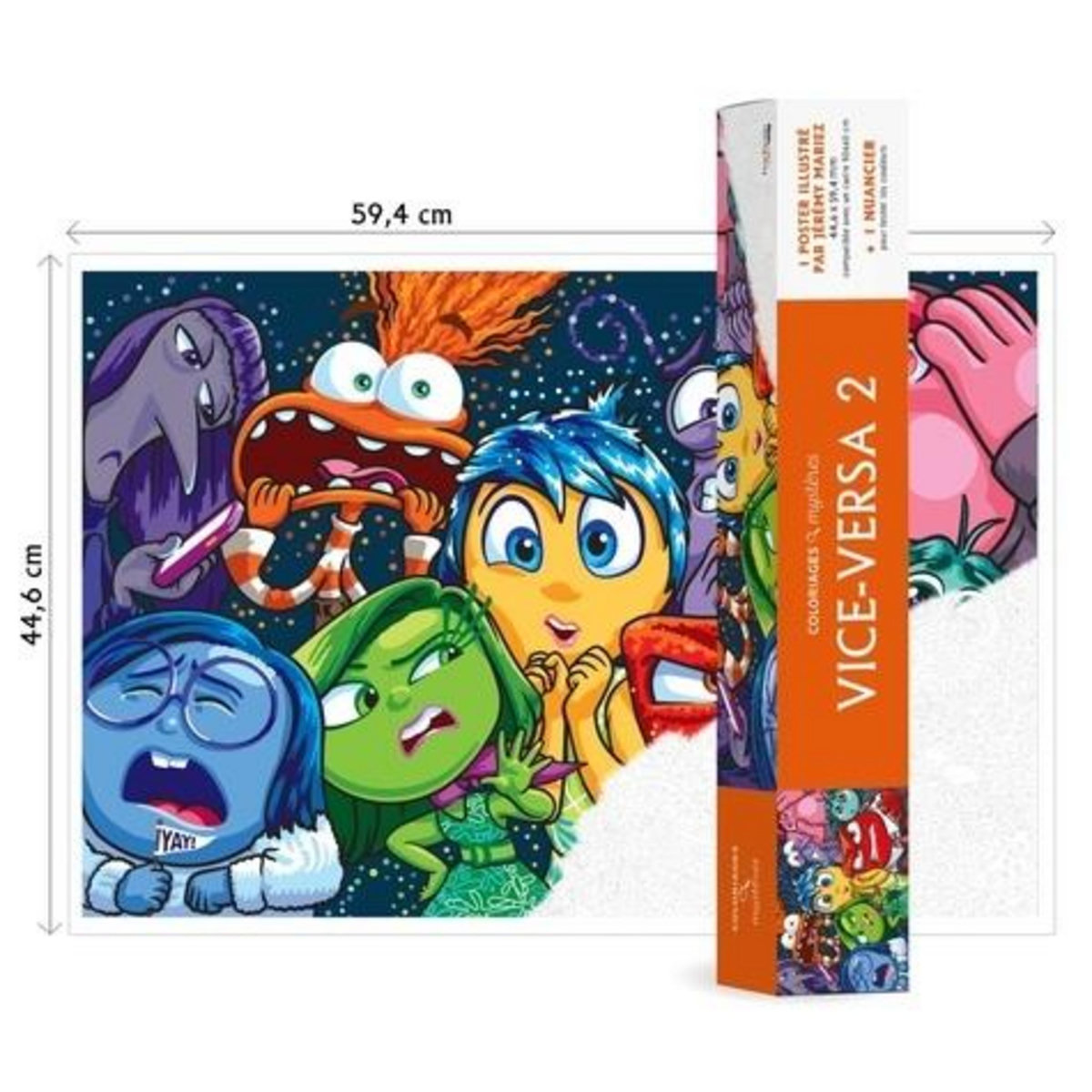 VICE-VERSA. 1 POSTER ILLUSTRE 44,6 X 59,4CM ET 1 NUANCIER, Disney