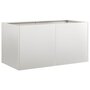 Voir la diapositive 2 : VIDAXL Jardiniere 80x40x40 cm acier inoxydable