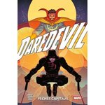 DAREDEVIL TOME 2 : PECHES CAPITAUX, Ahmed Saladin