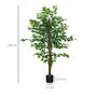Voir la diapositive 3 : HOMCOM Arbre artificiel plante artificiel ficus hauteur 1,5 m tronc branches liane lichen feuilles grand réalisme pot inclus
