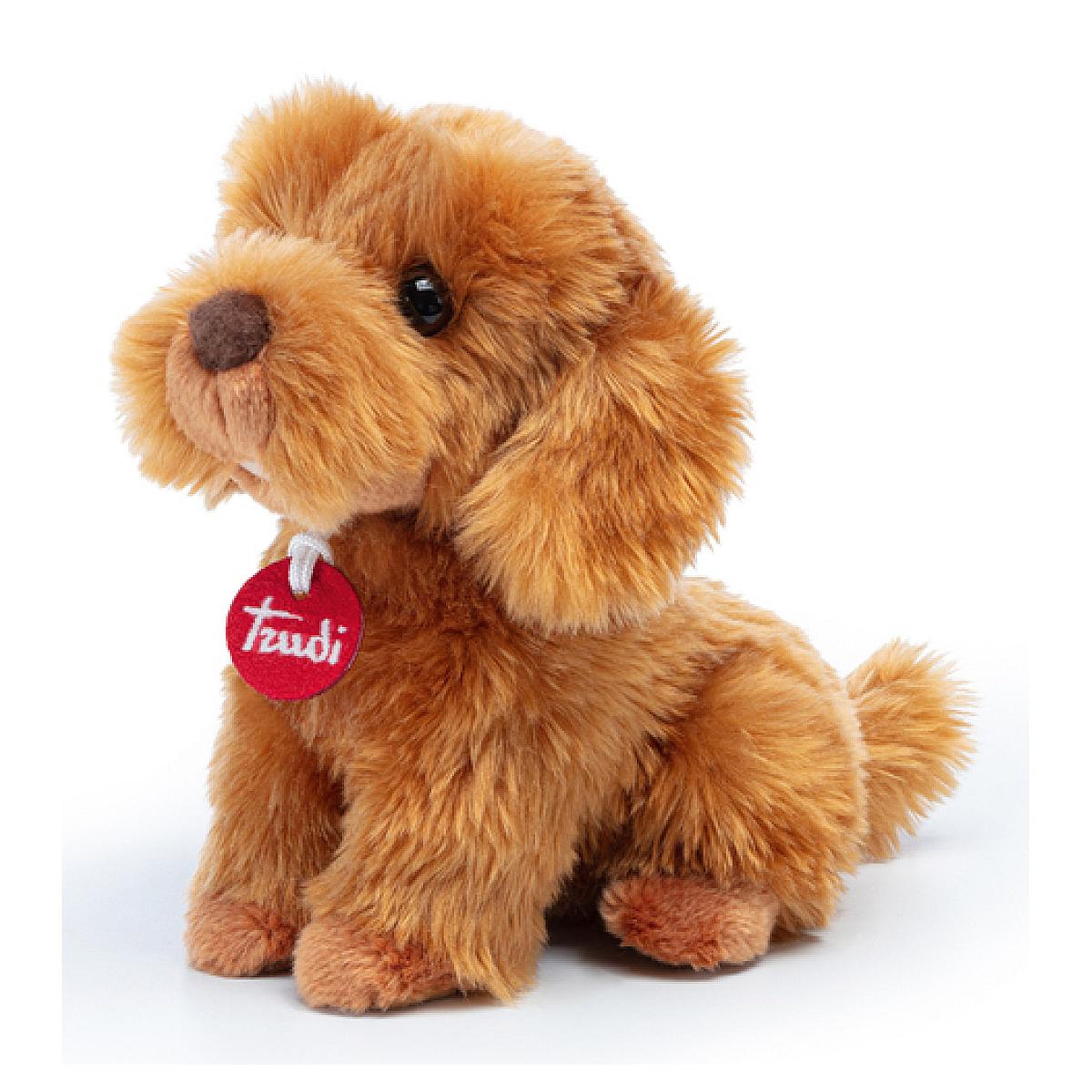 Voir la diapositive 2 : Trudi - Caniche Toy Oliver Assis