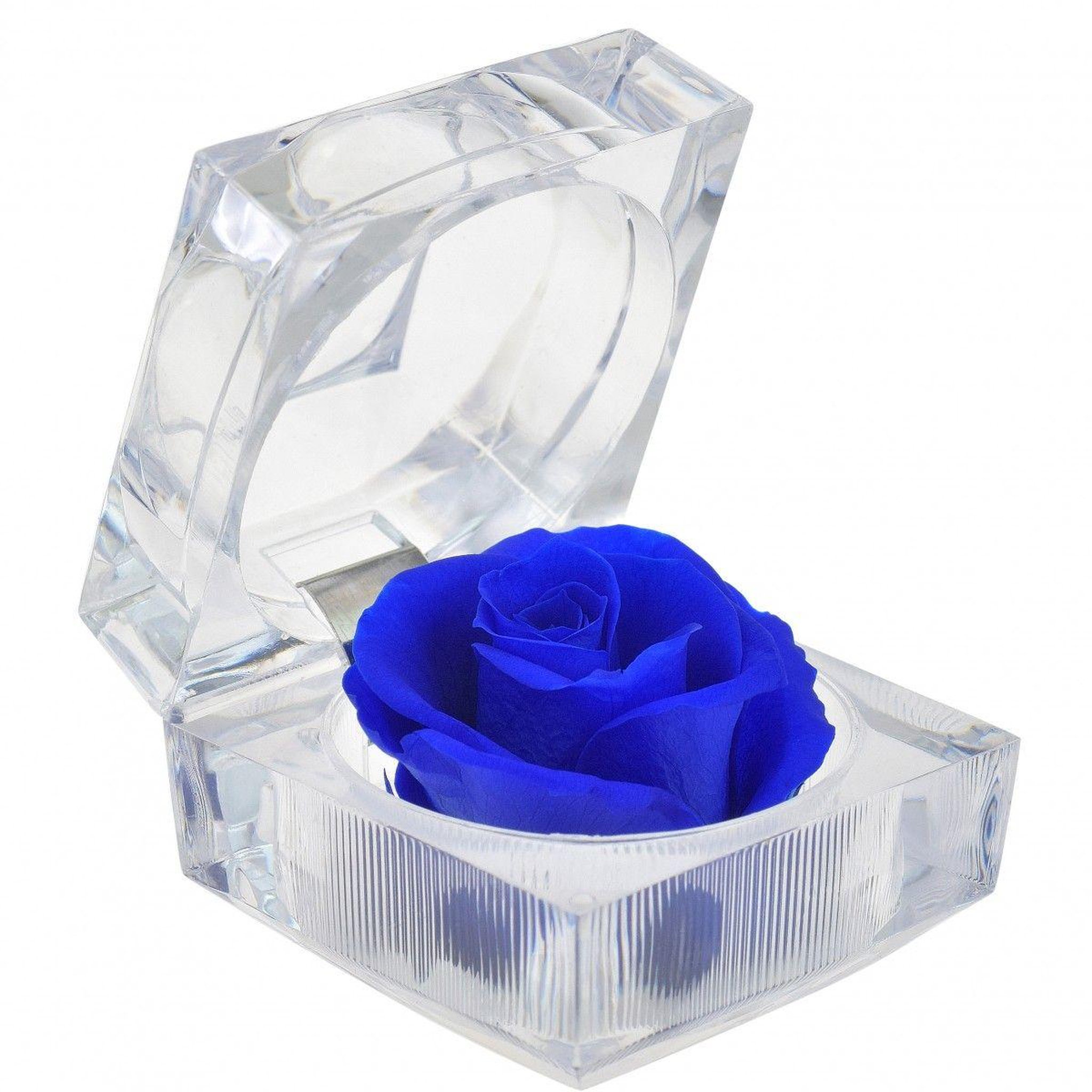 SC CRYSTAL Rose éternelle bleue