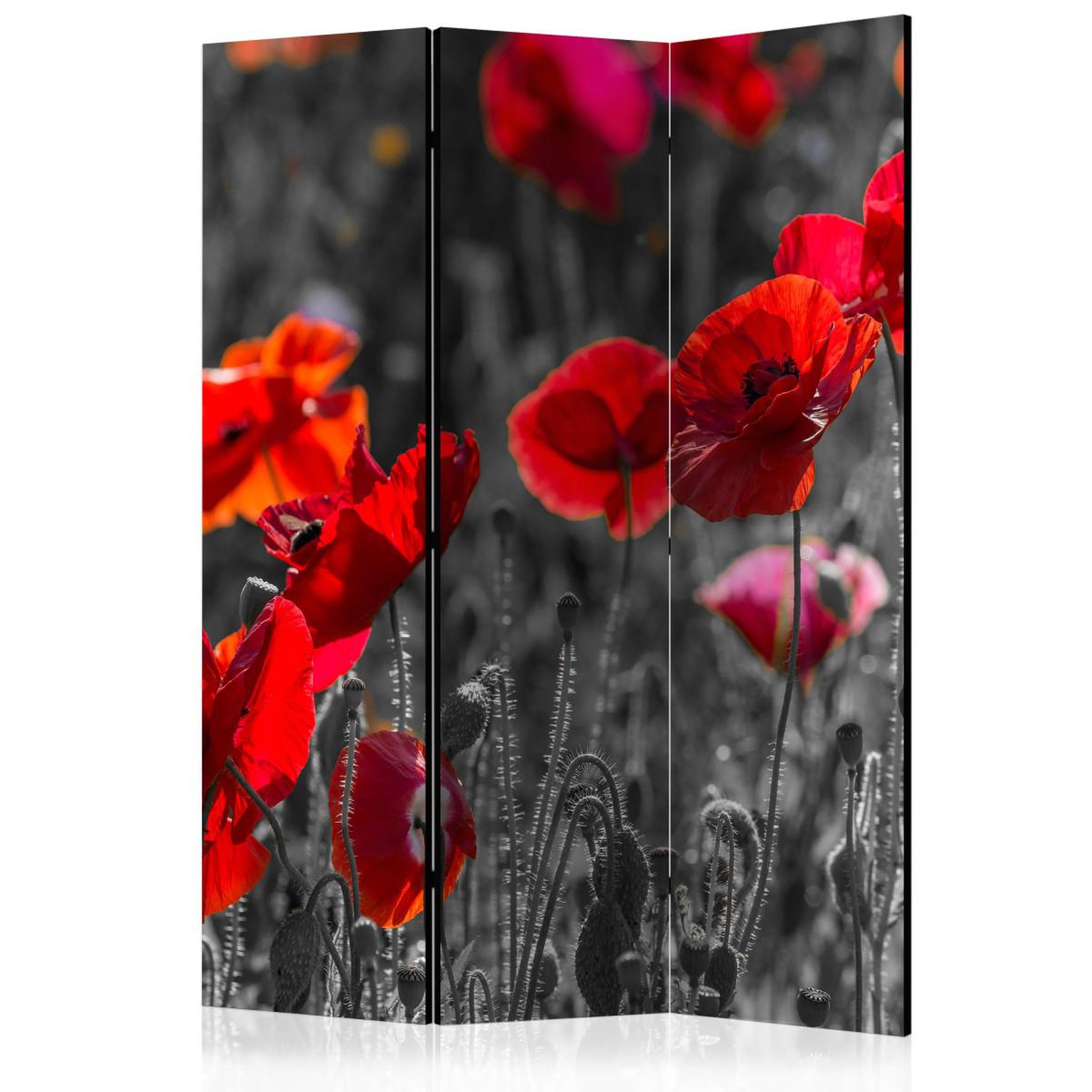 Paris Prix Paravent 3 volets  red poppies  135x172cm