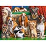 Castorland Puzzle 3000 pièces : Club de chiens