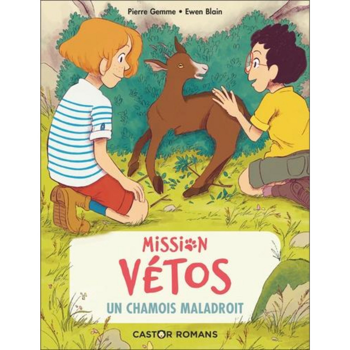 MISSION VETOS TOME 9 : UN CHAMOIS MALADROIT, Gemme Pierre
