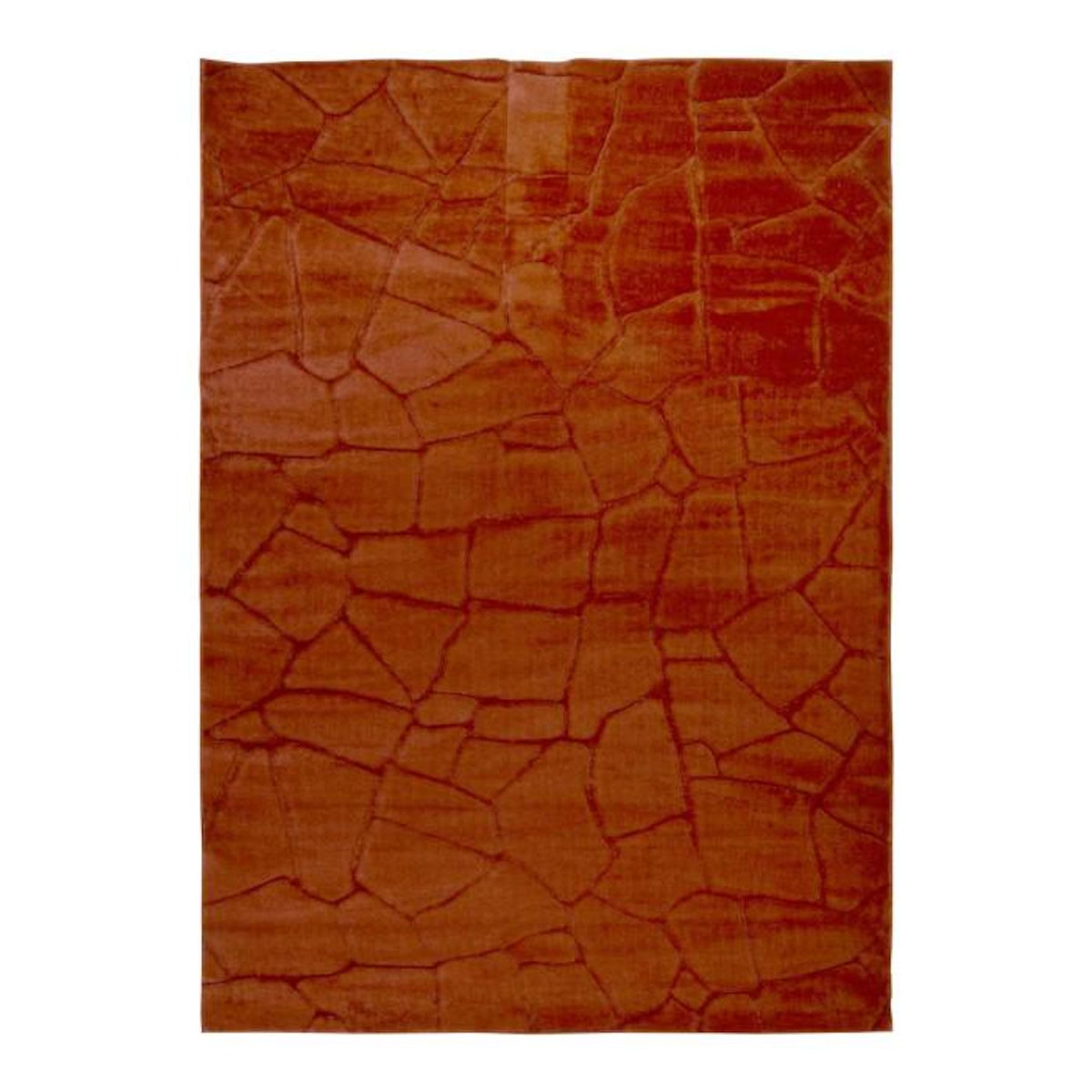 ATMOSPHERA Tapis Imitation Fourrure  Onina  120x170cm Ambre