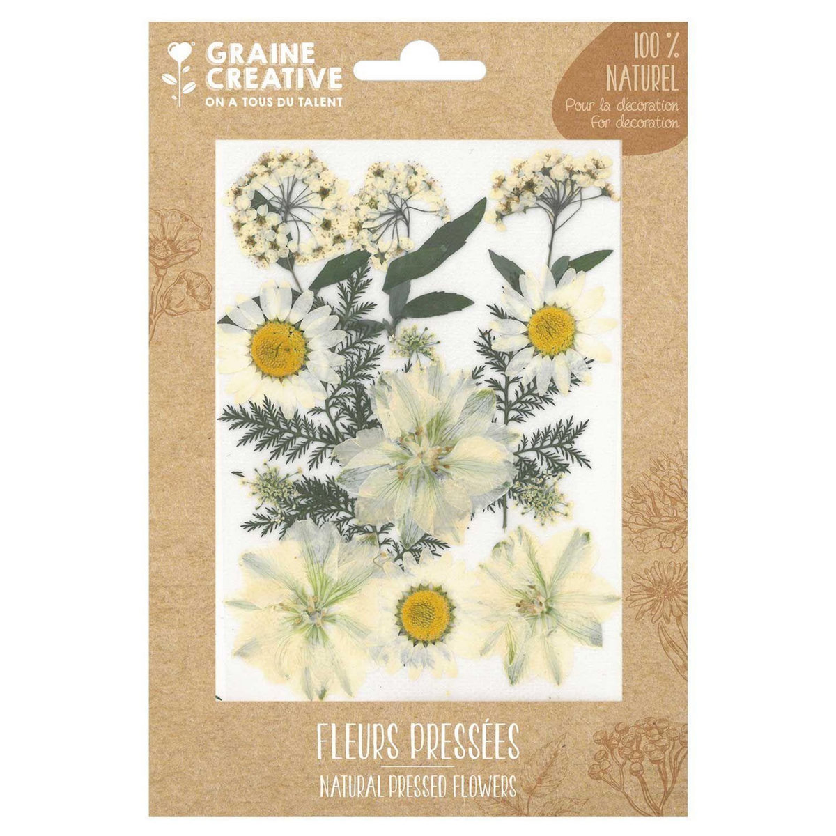 Graine créative 15 fleurs pressées - prairie blanche
