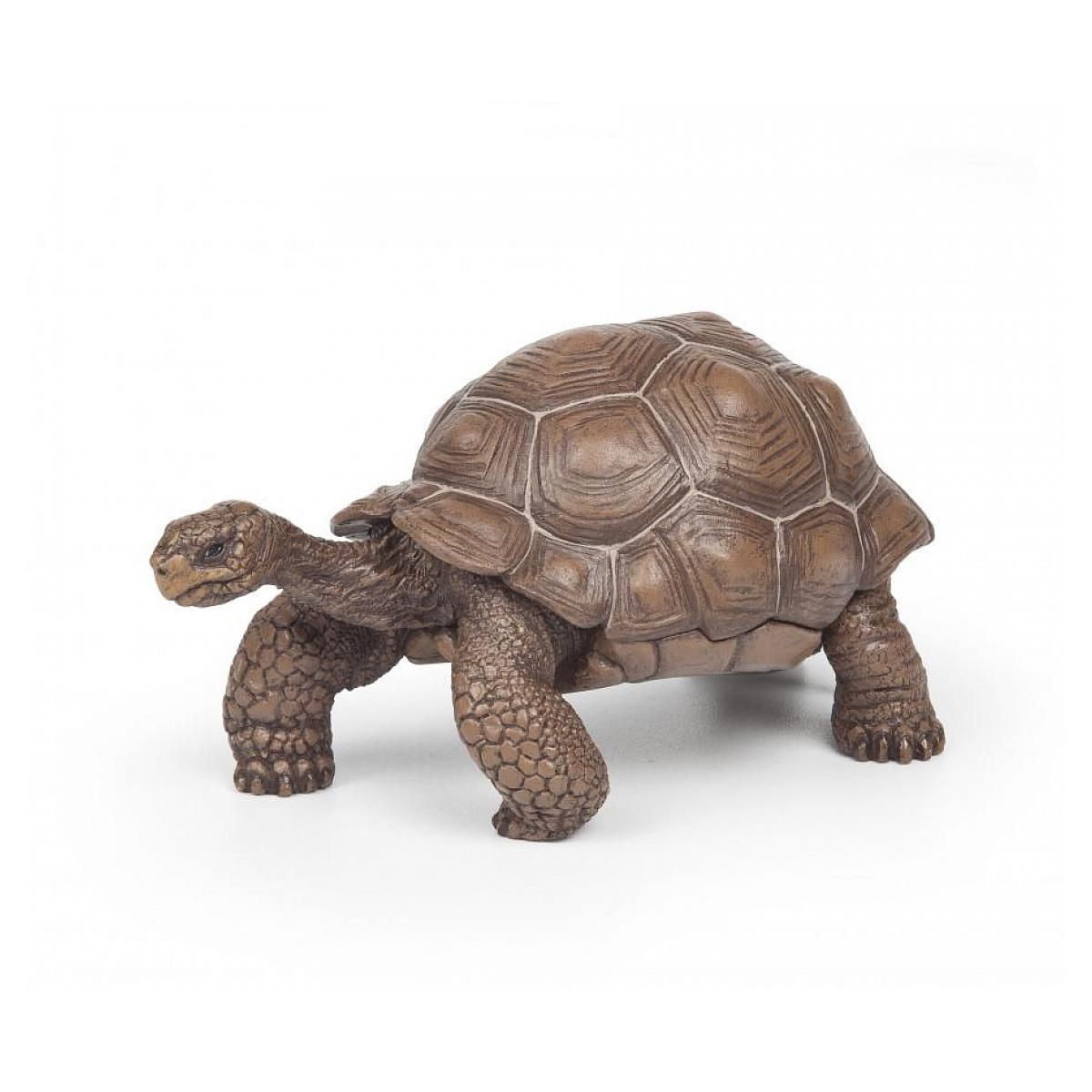 Papo Tortue des galapagos  figurine