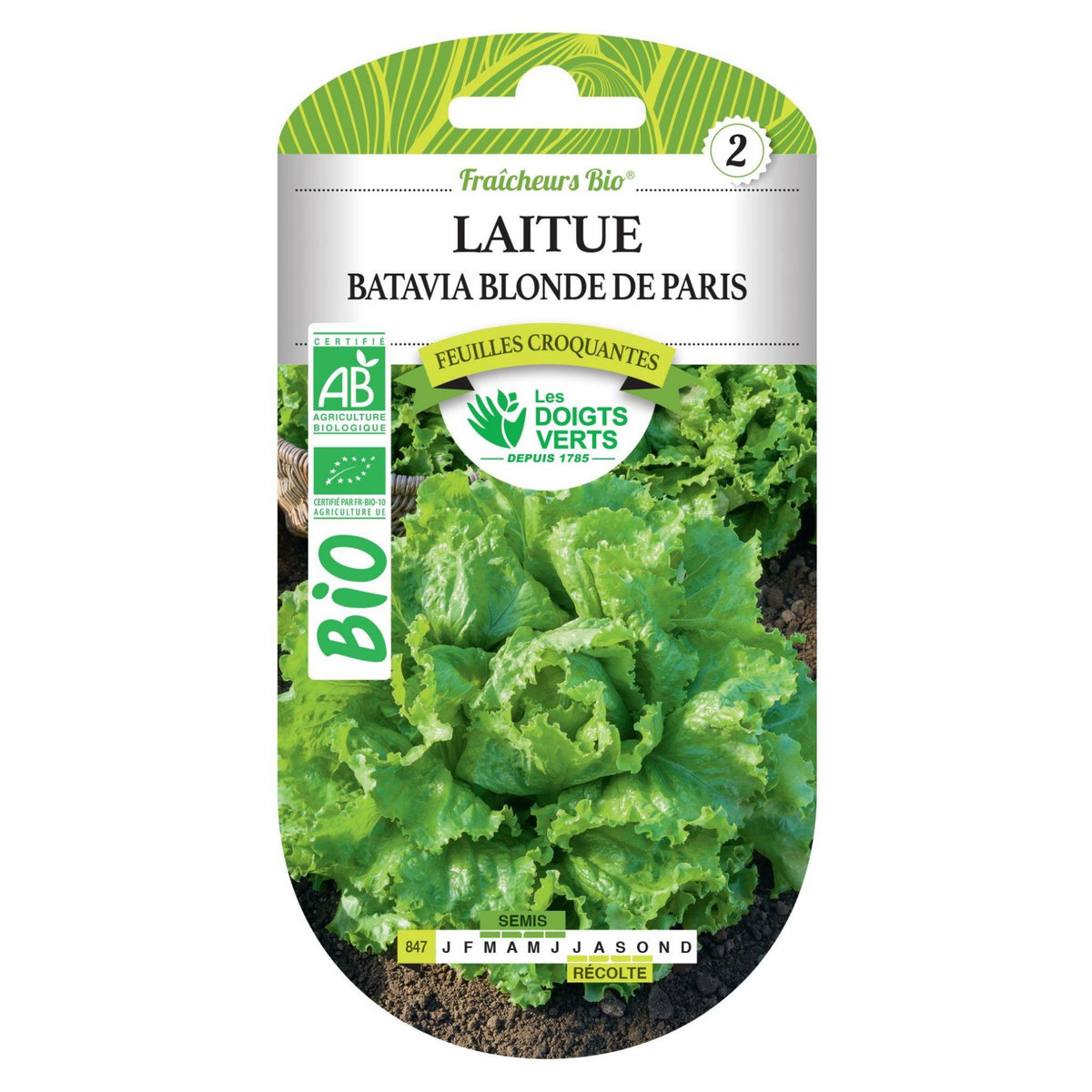LES DOIGTS VERTS Graines Laitue batavia blonde de Paris BIO Les Doigts Verts