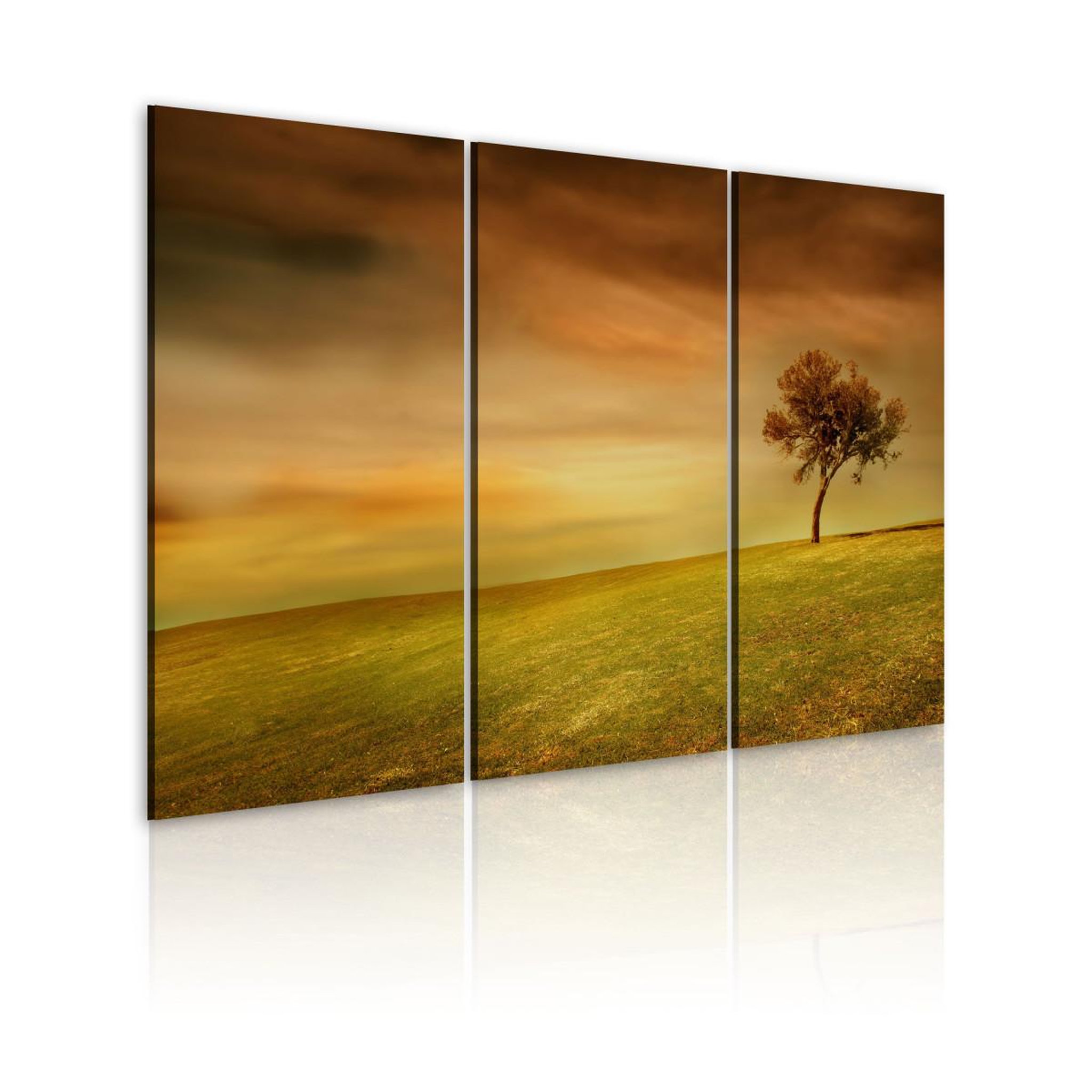 Paris Prix Tableau imprimé  arbre seul dans la prairie. Coloris disponibles : Multicolore
