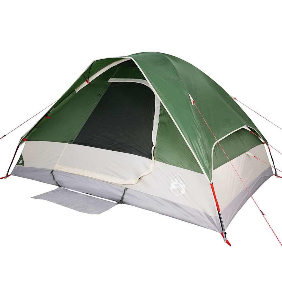 VIDAXL Tente de camping a dome 2 personne vert impermeable