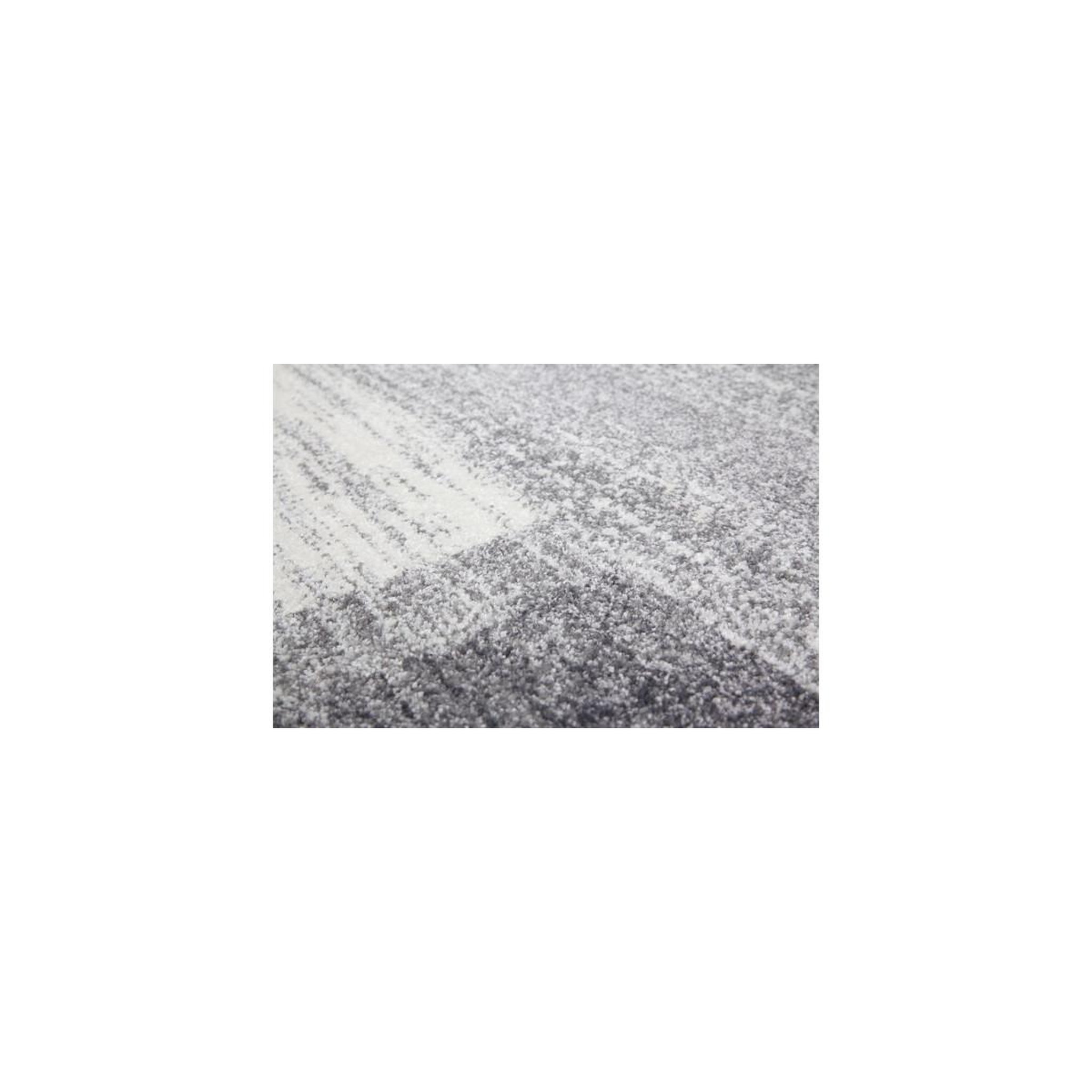 Voir la diapositive 3 : Paris Prix Tapis à Poils Courts Tissé  Falkland II  Argent