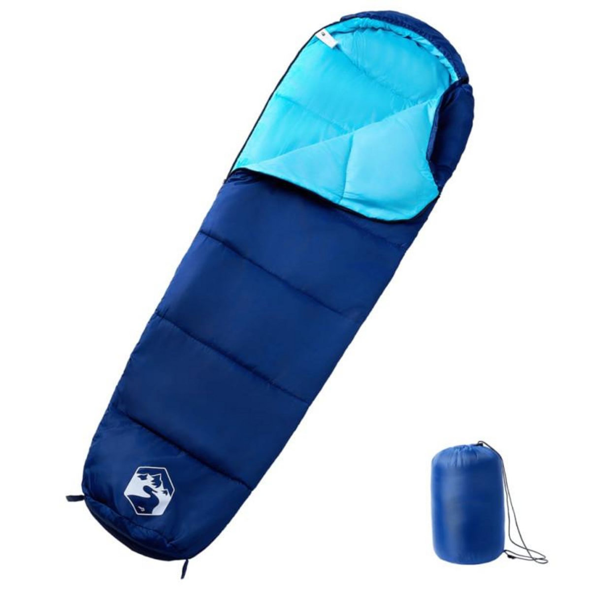 VIDAXL Sac de couchage momie pour adultes camping 3 saisons
