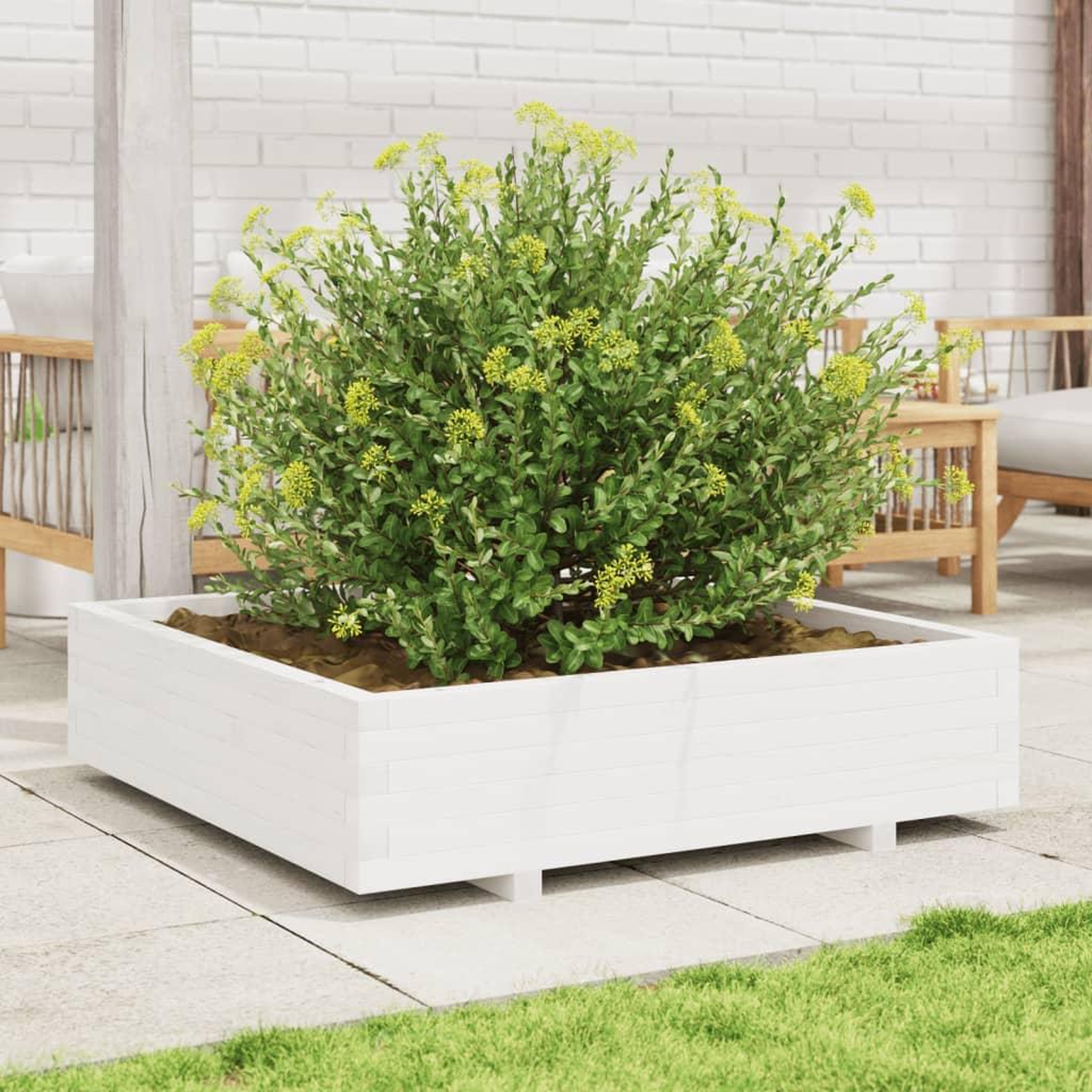 Voir la diapositive 3 : VIDAXL Jardiniere blanc 100x100x26,5 cm bois de pin massif