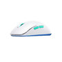 Voir la diapositive 1 : Xtrfy Souris Gamer Xtrfy M8 Wireless sans fil