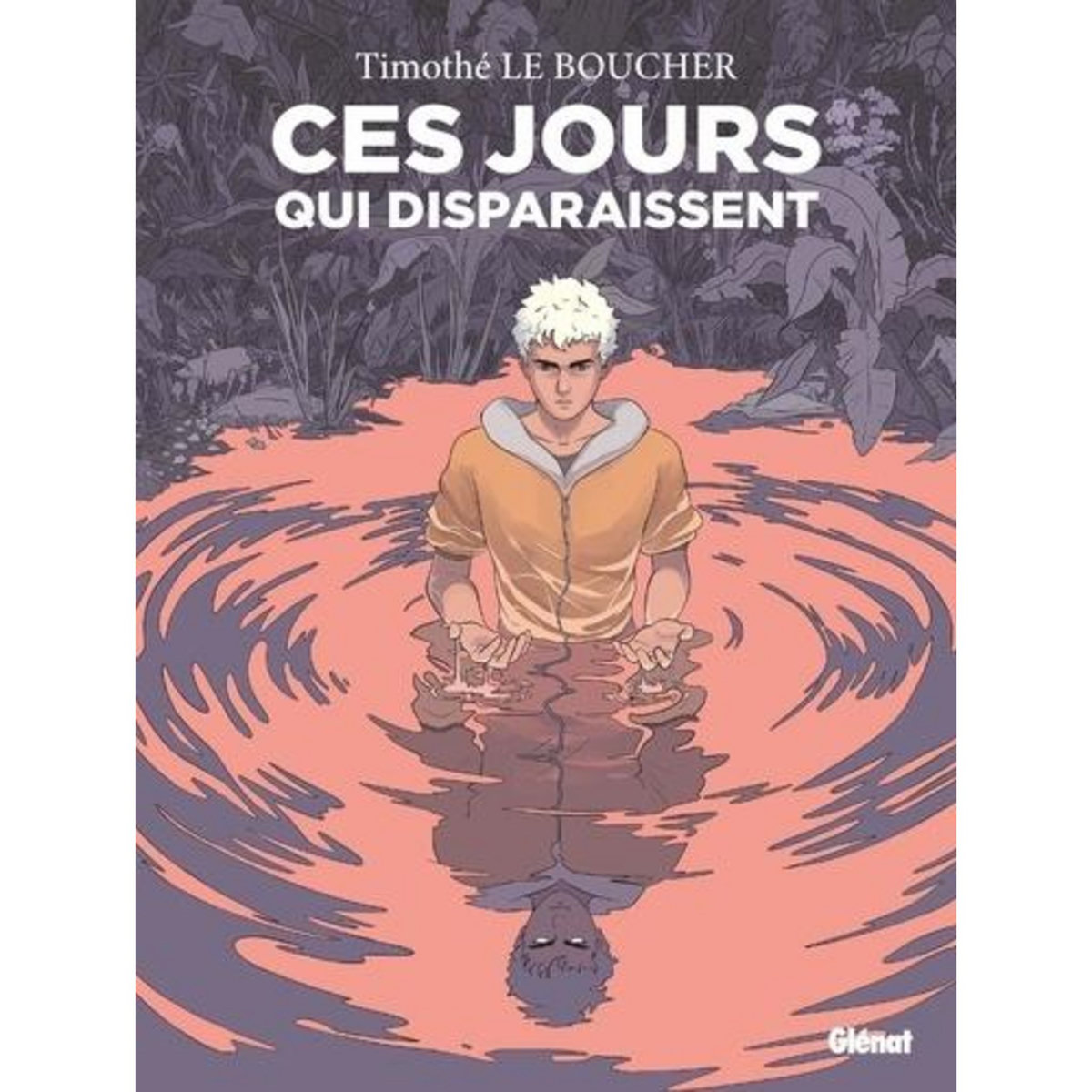 CES JOURS QUI DISPARAISSENT, Le Boucher Timothé