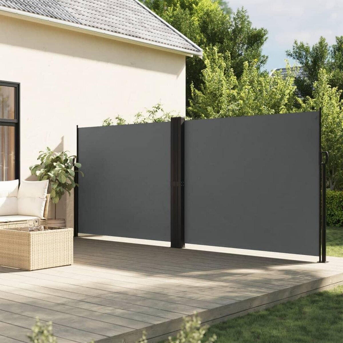 VIDAXL Auvent lateral retractable anthracite 160x1000 cm