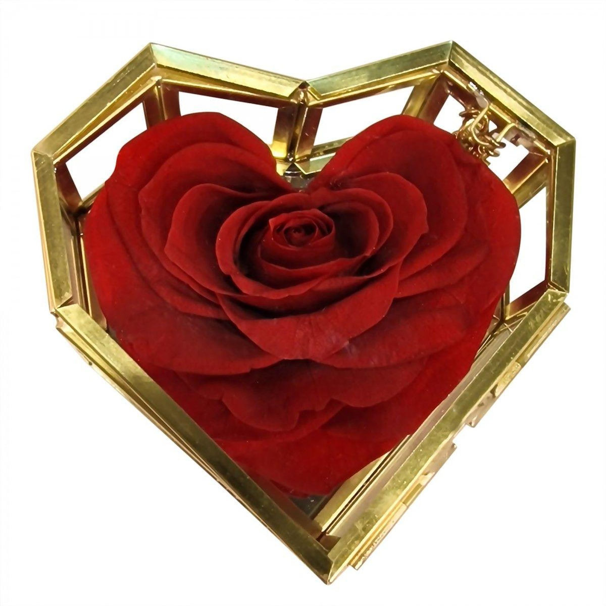 SC CRYSTAL Coffret en verre décoré d'une rose éternelle - stabilisée